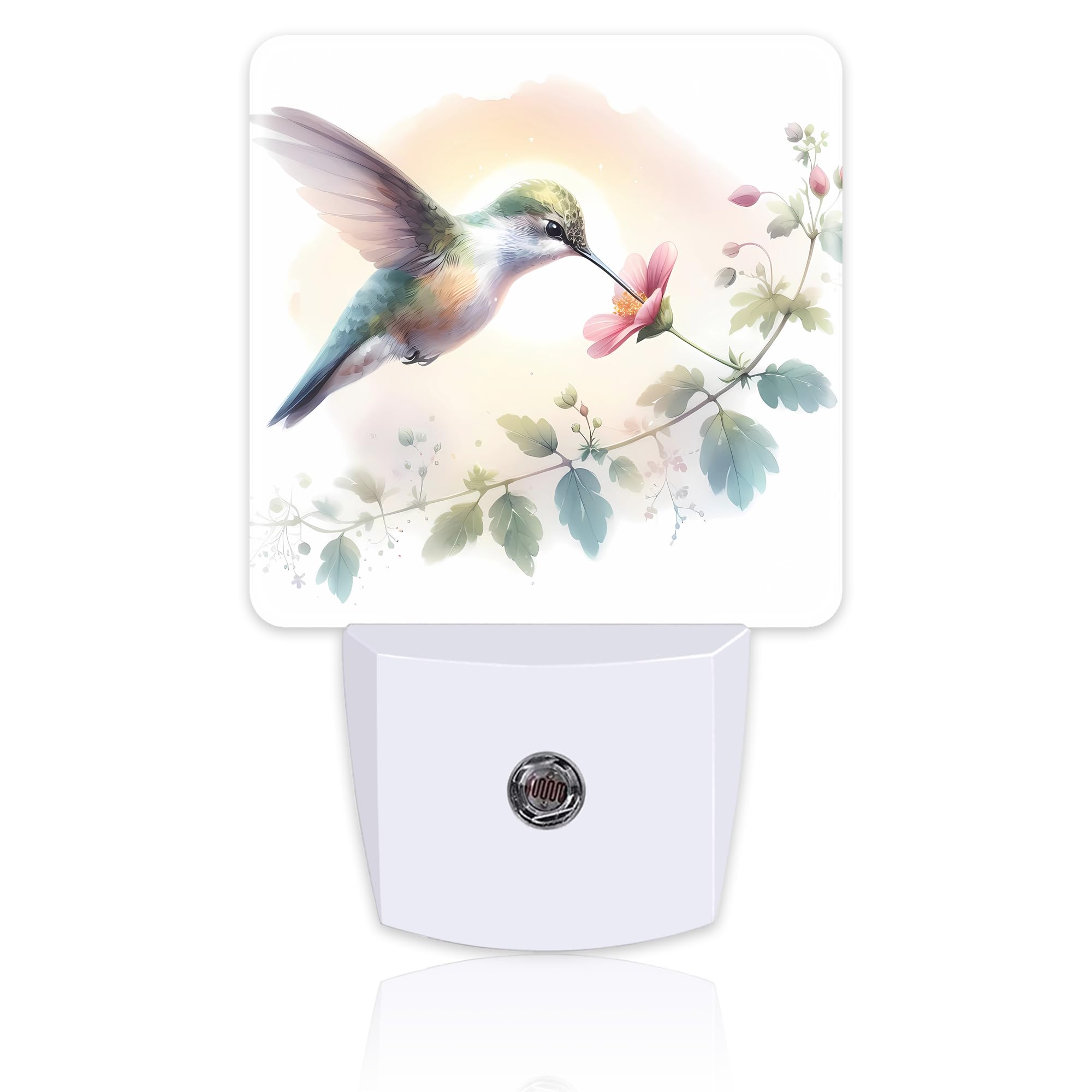 Groovy Hummingbird Flower Night Light for