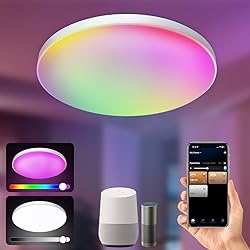 AMKI Smart RGB Ceiling Light Flush Mount