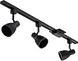 Lithonia Lighting LTKNSTBF BR20 DBL M2 Step Baffle