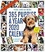 365 Puppies-A-Year Picture-A-Day Wall Calendar 2020 by