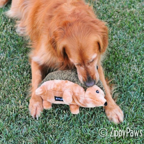 ZippyPaws 12-Inch Hedgehog Squeaky Plush Dog Toy, X-Large