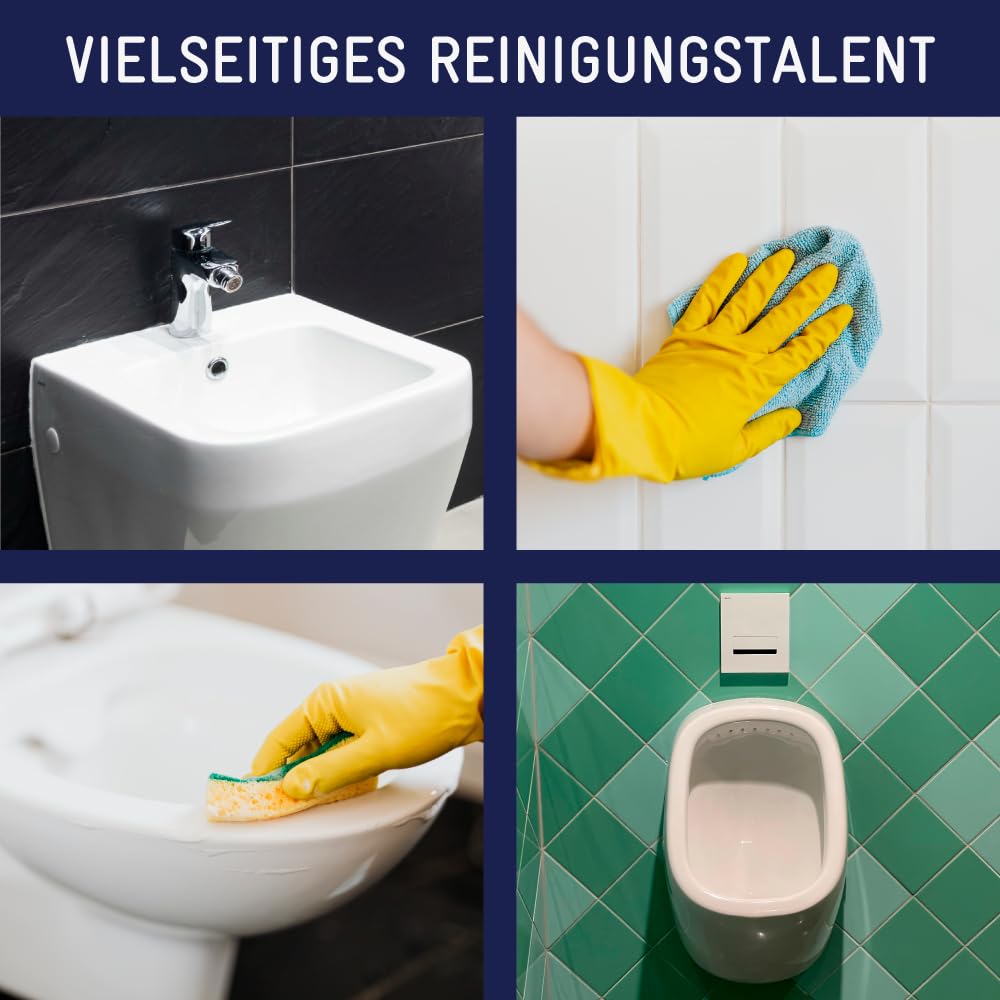 Hygiene King | Urinsteinentferner | WC-Reiniger | 1 L 3