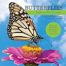 Butterflies: Exploring the Life Cycle (My Wonderful World)