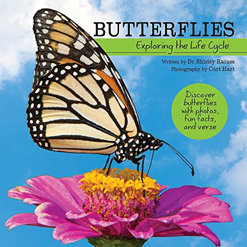 Butterflies: Exploring the Life Cycle (My Wonderful World)