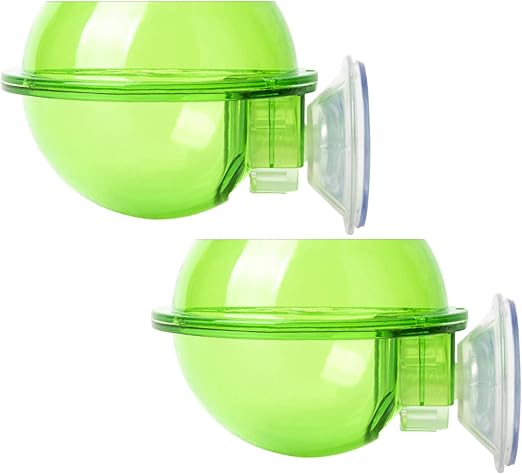 chameleon feeder cup