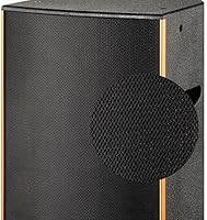 speaker box repair shop near me