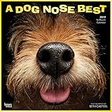 A Dog Nose Best 2019 Calendar (Multilingual Edition) by 
