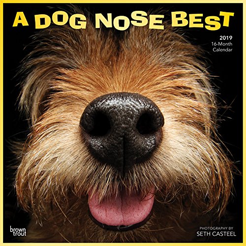 A Dog Nose Best 2019 Calendar (Multilingual Edition) by 
