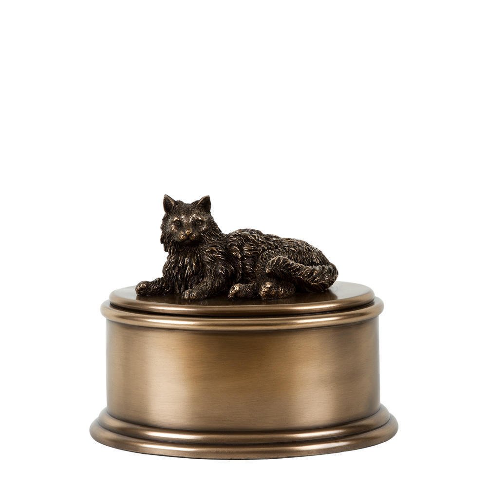 кремация кота. животное после кремации. кремирование людей в крематории. люберецкий крематорий для животных. кремирование человека в москве.