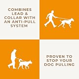 Dog & Field Anti Pull Lead Head Collar One Size Red 10mm Nylon Braided view 3