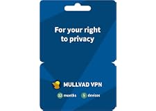 Mullvad VPN Devices Protect Security