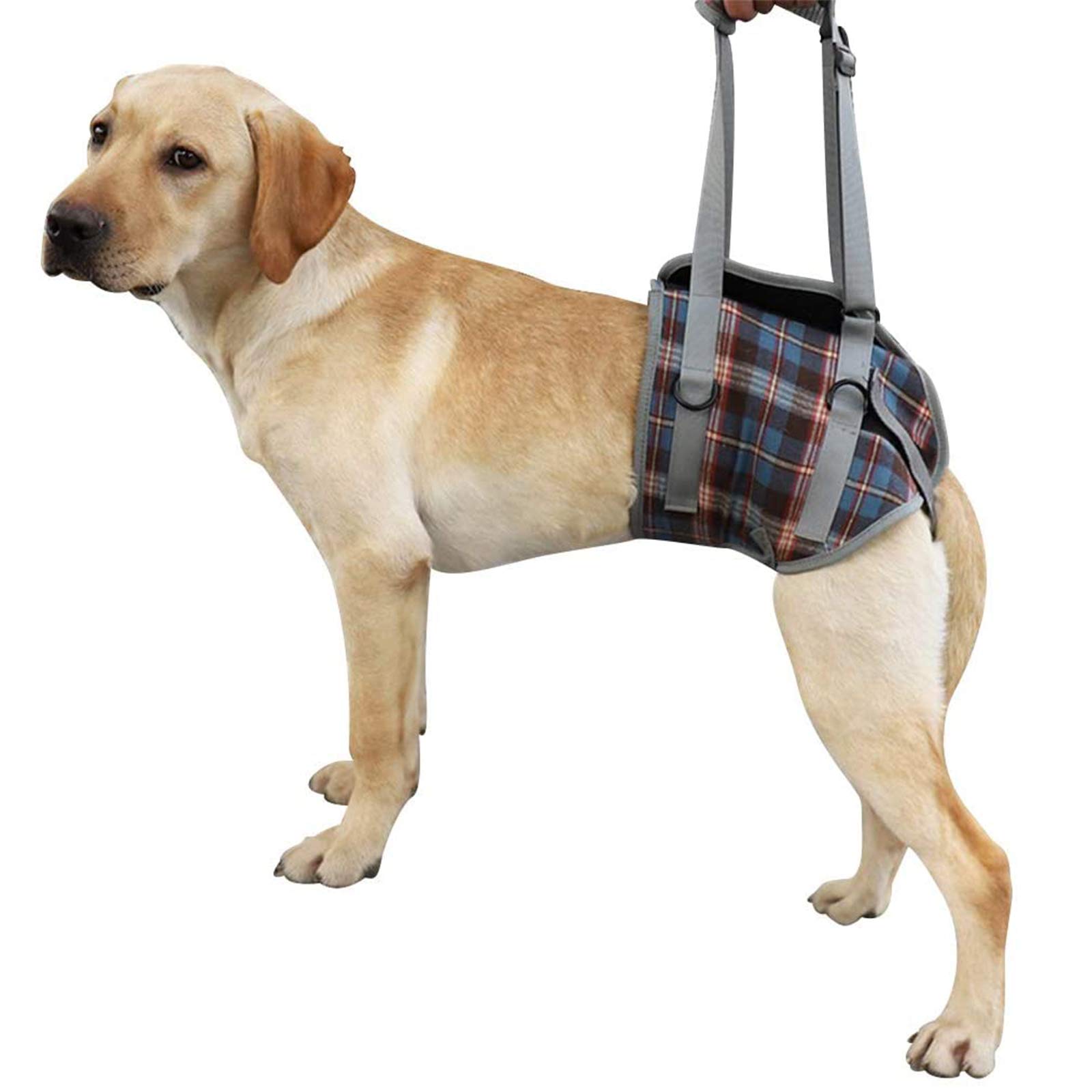 Photo 1 of ROZKITCH Dog Lift Harness, Grid Pet Rear Support Aid Veterinarian Approved Sling for Old K9 Help With Poor Stability, Back Leg Hip Disabled Joint Injury Elderly Arthritis ACL Rehabilitation Rehab