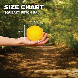 Hound2O Dog Chew Toys - Squeaky Fetch Ball, Yellow