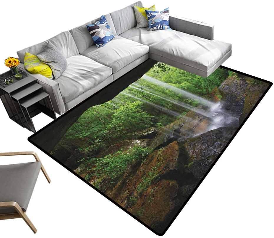 Natural Cave Large Carpet Still Waterfall in The Forest in Northern Alabama Habitat Ecosystem Scenery Bathroom Soft Durable Area Rug Green Brown (5'7"x6'6")