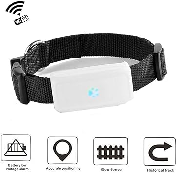 Balscw Z Mini Gps Tracker Pour Petit Chat Chien Pet Position Wifi Chat Finder Avec Collier Gps Amazon Fr High Tech