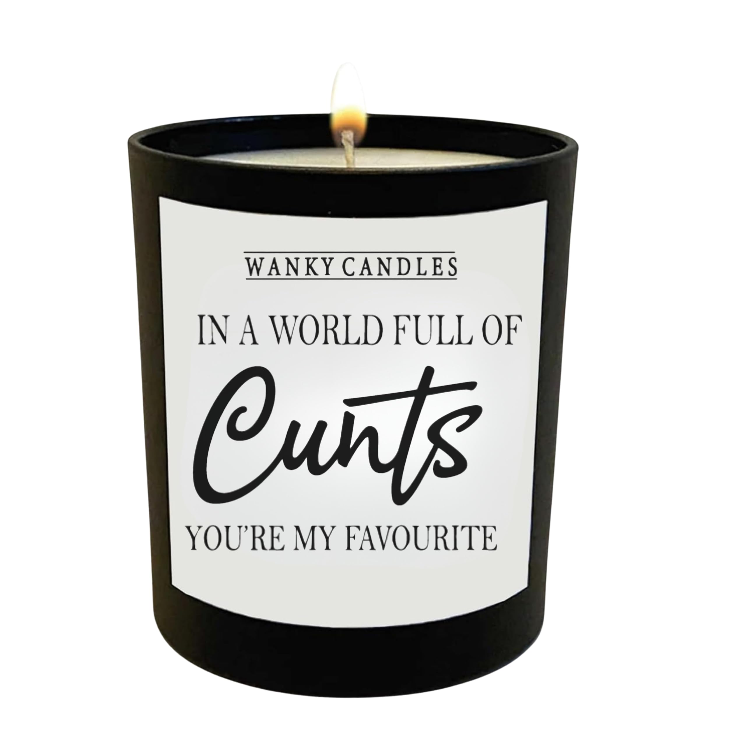 Wanky Candle - 'in a World Full of C**ts, You’re My Favourite' Rude & Funny Black Jar Candle Pomegranate & Fig WCBJ118