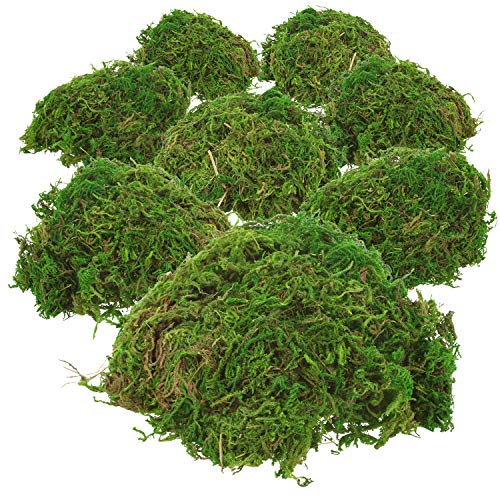 com-four® 200g grünes DIY Bastel-Moos für Osterkörbchen - echtes Deko-Moos zum Basteln und Dekorieren von Osternestern…