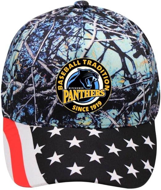 carolina panthers skull cap