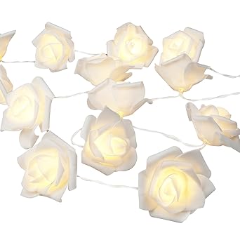 Denknova 30er Led Rosen Lichterkette Strombetrieben 31v Niederspannung Transformator 3m Warmweiß