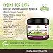 Strawfield Pets L-Lysine Immune Support for Cats & Kittens - 200g Chicken Liver Flavor Granules with Scoop, Immune Health Supplement Cat Cold Relief, Sneezing, Congestion, Running Nose, Watery Eyes