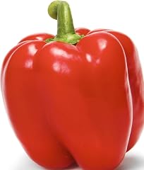 Organic Red Bell Pepper
