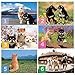 Shiba Inu Calendar 2019 with Adorable Shiba Dogs' Pictures | US Holidays & Japanese Holidays | in English | Made in Japan (Wall Calendar 2019)