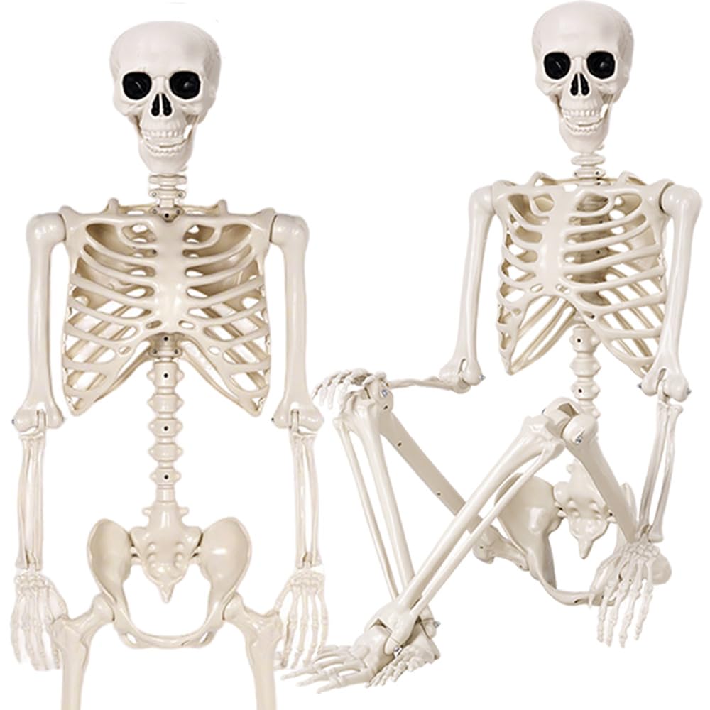Photo 1 of 6Pack ----36" Halloween Skeleton - 3 ft Life Size Human Skeleton with Full Body Posable Joints - Spooky Scary Plastic Skeletons for Outdoor Decoration, Halloween Party Decor, Haunted House Props