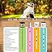 Earth Pets Nutrition, All Natural and Organic Hip and Joint Supplement and Dog Vitamin, Glucosamine, Chondroitin, MSM, Yucca and Organic Turmeric for Dogs, 130 Soft Chew Treats