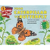 From Caterpillar to Butterfly (Let's-Read-and-Find-Out Science 1)