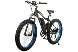 ECOTRIC 26” Fat Tire Electric Bike Powerful Adults Mountain Bicycle 500W Motor 36V/12.5AH Removable Lithium Battery Beach Snow Ebike Shock Absorption - 90% Pre Assembled