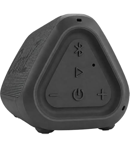 Amazon.com: Pioneer Rayz Rally Portable Speaker | Perfect in Skype