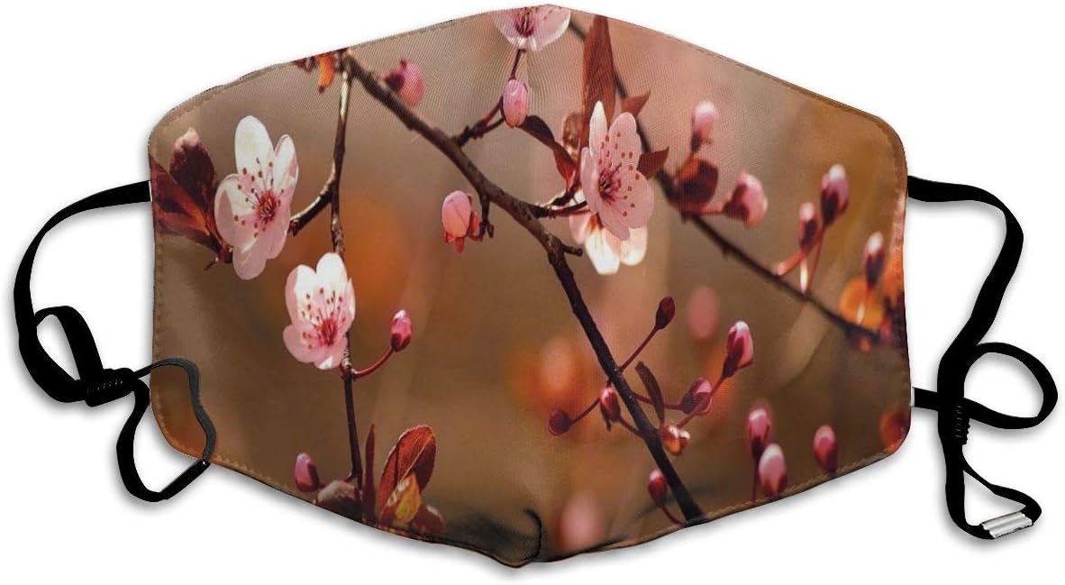 Comfortable Windproof mask,Cherry Blossom Sakura Tree Branches Flowering Japanese Flourishing Print,Printed Facial decorations for adult