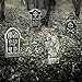 Halloween Haunters 16.5