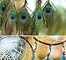 SPUNKYsoul New! Premium Handmade Dream Catcher - Peacock Feather Dreamcatcher Indian Tradition Collection