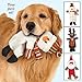 Christmas Pals Stuffing Free Dog Toys Set