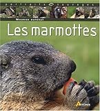 Marmotte (Les) by 