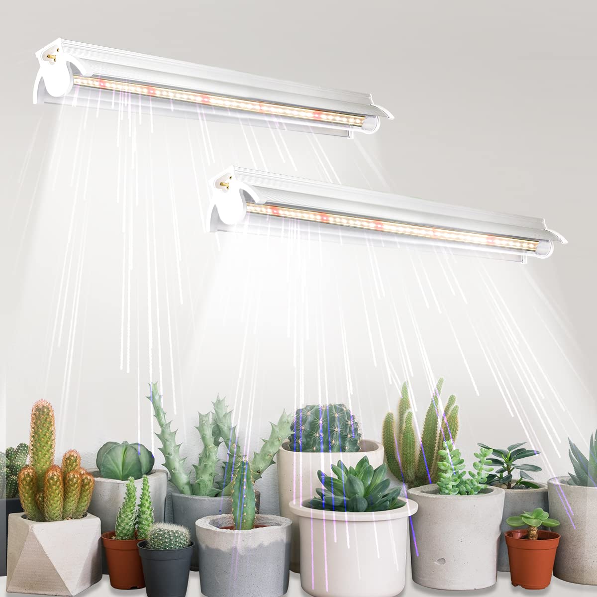 Photo 1 of T5 Grow Lights 2 Pack, 1.4Ft 5000K White Full Spectrum LED Plant Growing Lamp Strips for Indoor Plants, Seeds Starting, Succulents, High PPFD with V-Shaped Reflector