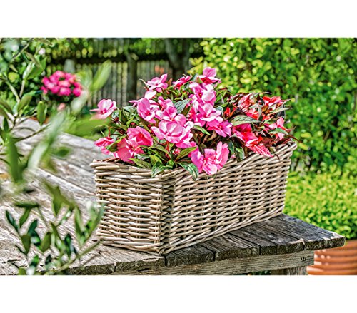 Dehner Rattan Pflanzkasten, ca. 30 x 15 x 15 cm, Rattangeflecht, grau/braun – Bild 6