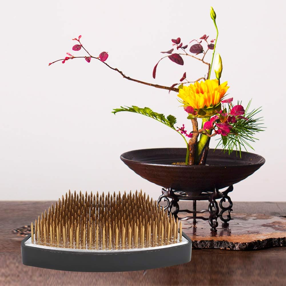 Amazon Com Rosvola Ððð¬ð­ðð« Ðð«ð¨ð¦ð¨ð­ð¢ð¨ð§ Ðð¨ð§ð­ð¡ Flower Frog Kenzan Arc Shaped Holder Flower Arrangement Needle Pin Arranging Tool Accessories S Home Kitchen flower frog kenzan arc shaped holder
