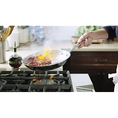 Buy Heritage Steel 10 5 Inch Fry Pan Titanium Strengthened 316ti Stainless Steel Pan With 5 Ply Construction Induction Ready Y Clad Made In Usa Online In Indonesia B00zgsb2sk