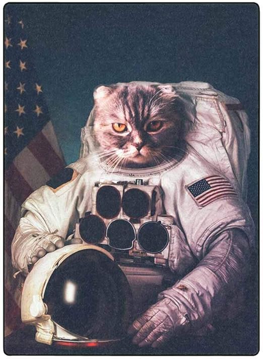 Amazon Co Jp 美しい猫宇宙飛行士の贅沢なフリース毛布余分柔らかく暖かい軽量のベッド毛布 1x150 ホーム キッチン Amazon Co Jp 美しい猫宇宙飛行士の贅沢なフリース毛布余分柔らかく暖かい軽量のベッド毛布 1x150 ホーム キッチン