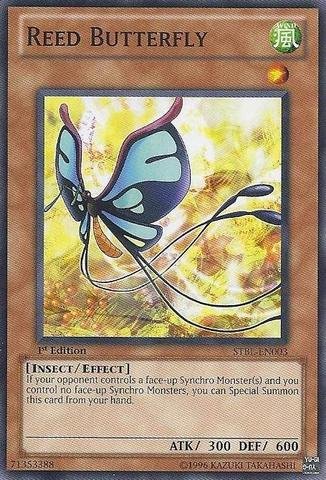Yu-Gi-Oh! - Reed Butterfly (STBL-EN003) - Starstrike Blast - 1st Edition - Common