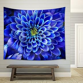 Close Up of Blue Flower : Aster with Blue Petals and Yellow Heart for Background or Texture - Fabric Wall Tapestry Home Decor - 51x60 inches