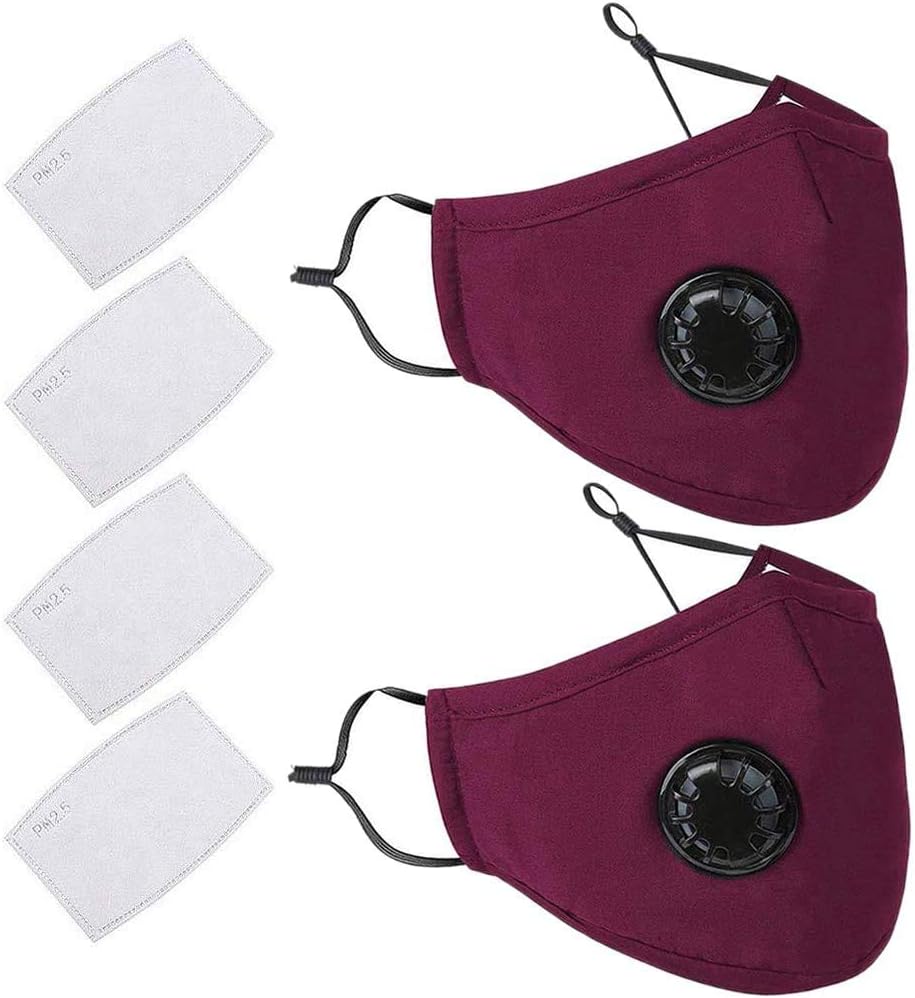 4 Pack PM 2.5 Filter Anti Dust+2 pcs N95 Cotton Face Protection with Breathing Valve Cotton Washable and Reusable for Men Women(Red)
