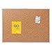 Quartet Cork Board, Bulletin Board, 2' x 1.5' Corkboard, Aluminum Frame (2301)