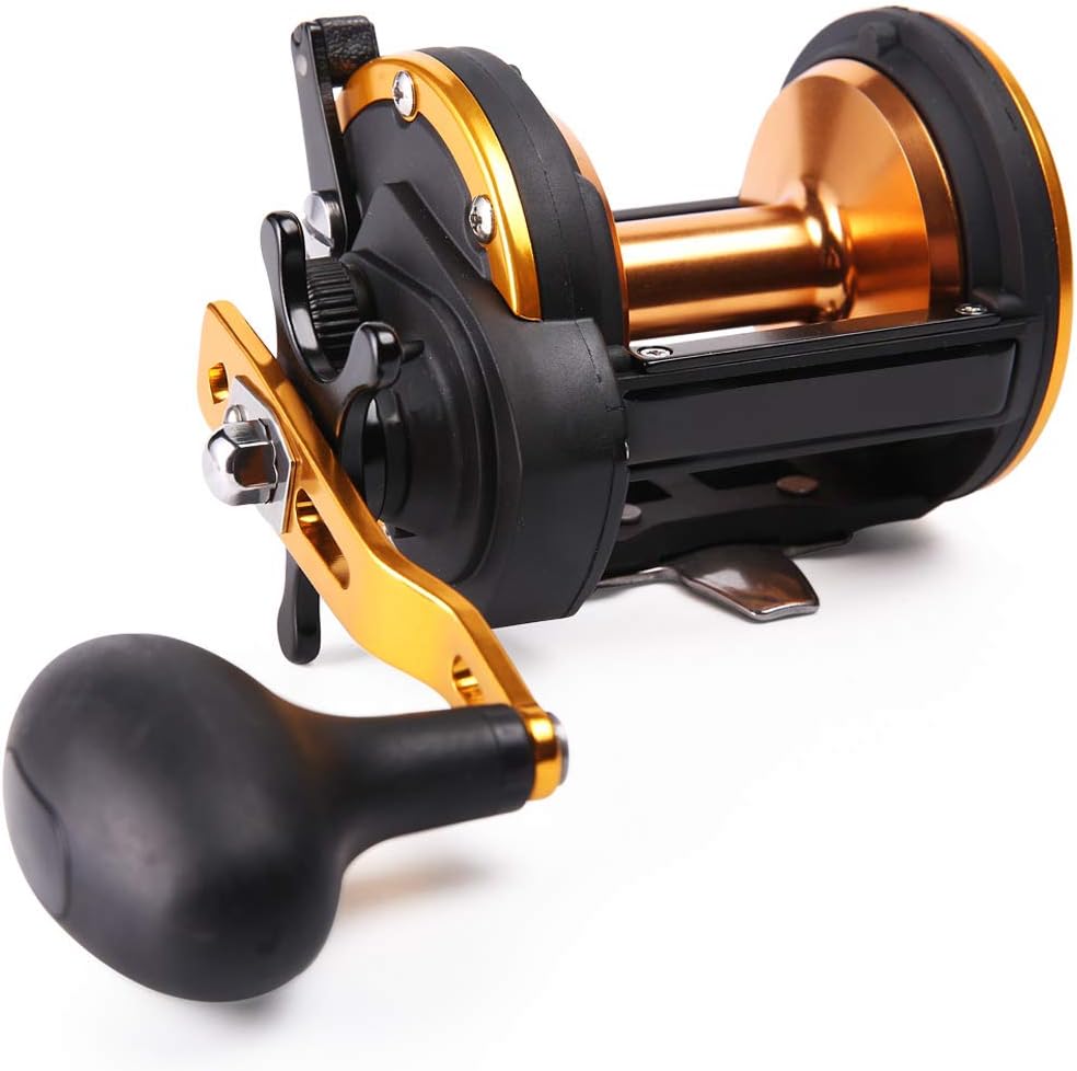 10 Best Conventional Reel For Bottom Fishing in 2021