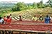KAHAWA Kenya Coffee, Medium Roast, Ground Coffee, 100% Arabica Coffee, Kenya AA, Specialty Coffee, Premium Coffee, Single Source Origin, Direct Fair Trade, 12 Ounce (Medium, 12)