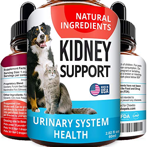 hewbo-UTI-Treatment-for-Cats-and-Dogs-Kidney-Support-for-Pets-Bladder-Urinary-Support-Cranberry-Echinacea-Pumpkin-Feline-Renal-Support-Supplemen-2oz-Made-in-USA