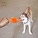 LEPPI Rubber Frisbee Flying Dog Frisbee Toy Easy Catch Dog Flyer with Treat IQ Hole Tug of War Toys - Orange