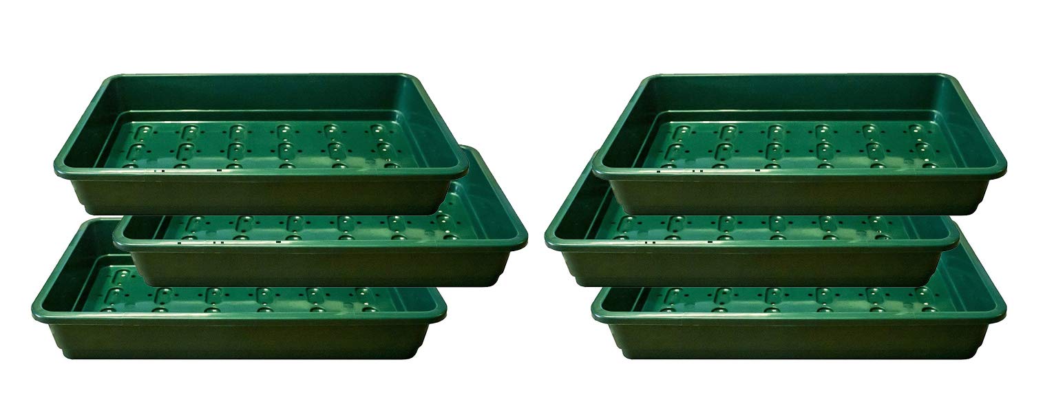 Britten & James Professional Standard Seed Tray Green with Holes [Pack of 6] 37.5 x 23cm/15 x 9. Heavy duty trays made from extra thick plastic with efficient drainage holes